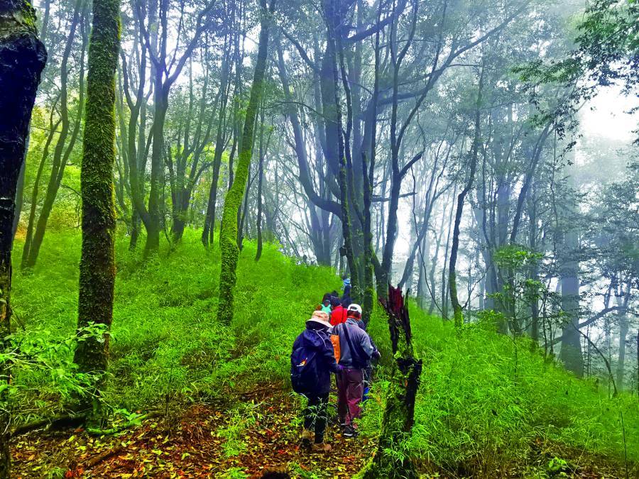 雪霸國家公園故事圖畫創作冬令營